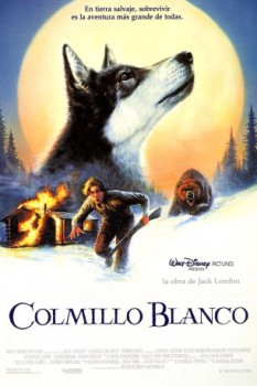 poster Colmillo blanco  (1991)