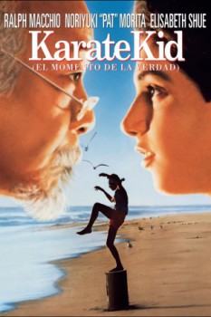 poster Karate Kid, el momento de la verdad  (1984)