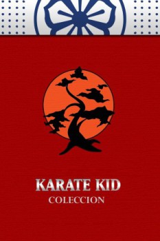 poster Karate Kid - Coleccin